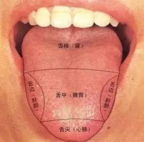 火在肝里，失眠；火在胃里，口臭；火在肺里，咳嗽；火在心里....