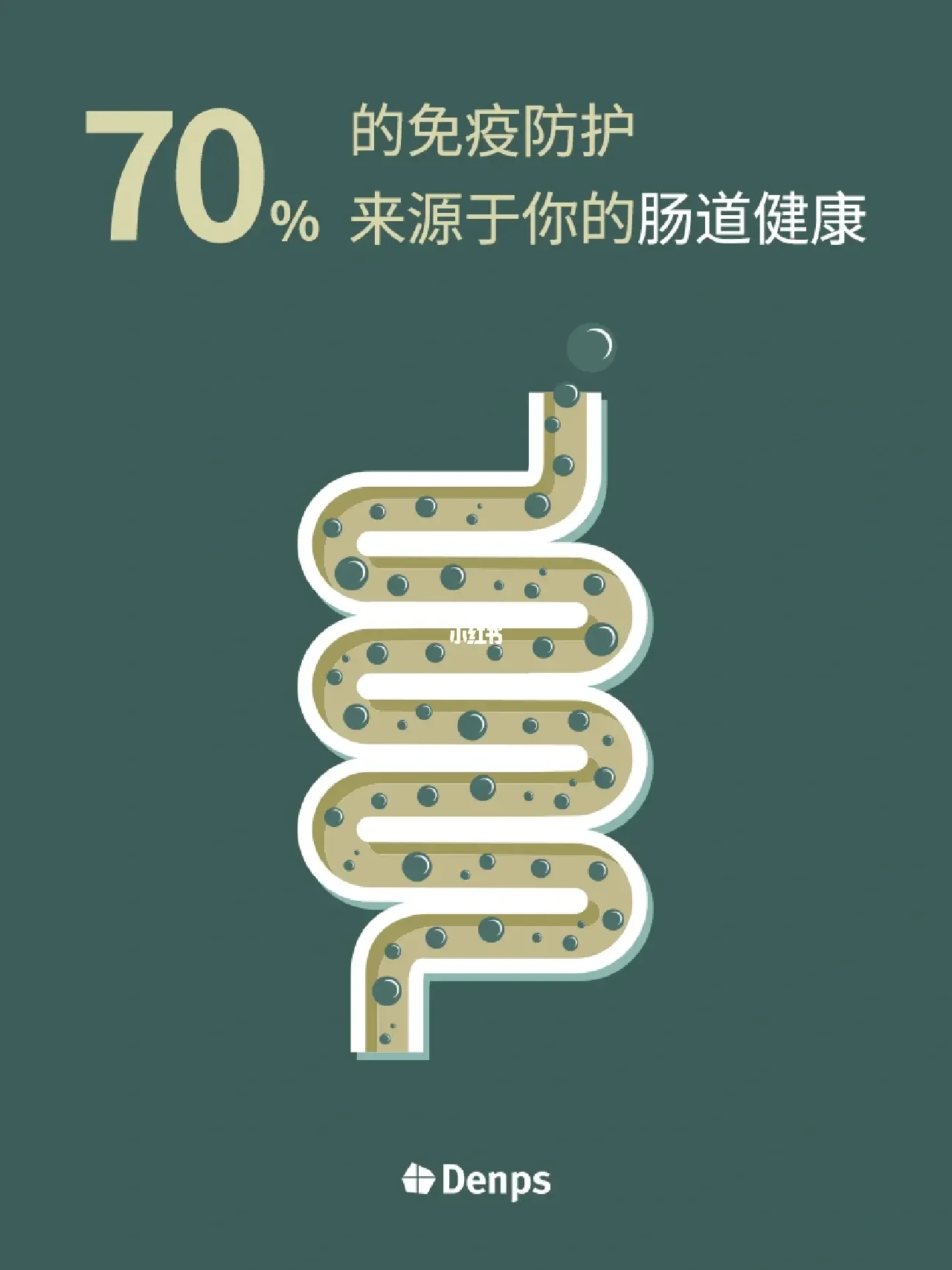 肠道健康 | 70%的免疫防护来源于肠道健康