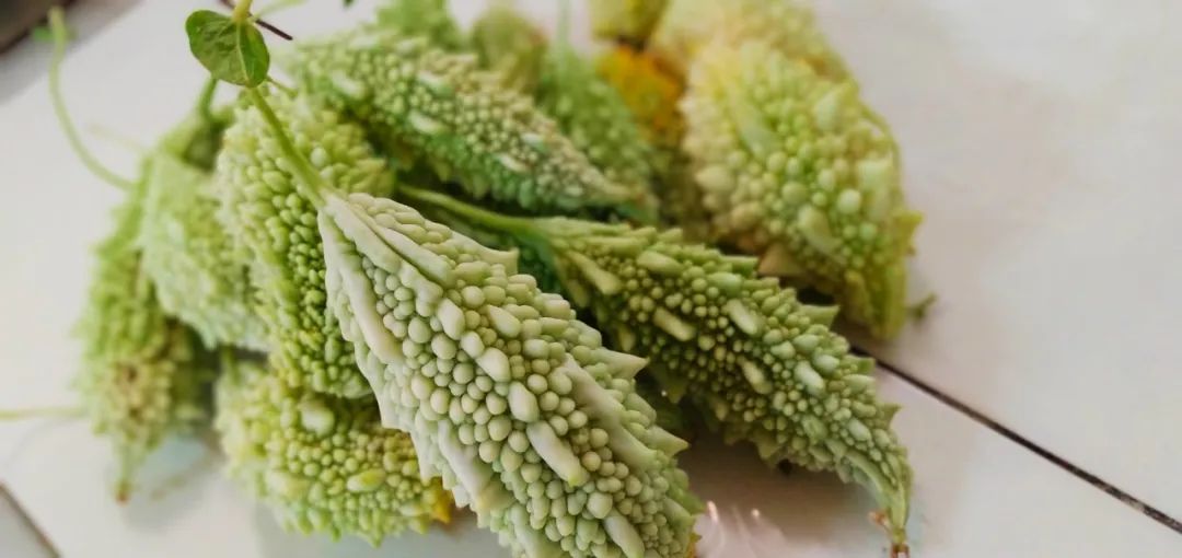 夏季吃“苦”胜过进补，是真的吗？